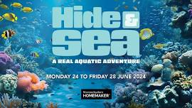 Hide and Sea – A Real Aquatic Adventure