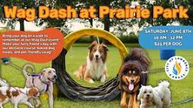 Wag Dash at Prairie Park