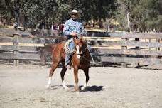 Bruce Sandifer & Jeff Derby California Vaquero Workshop — V6 Ranch