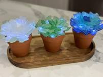 Sea Glass Succulent Workshop