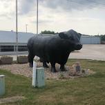 Wright Rodeo Company Sponsored by Smithfield