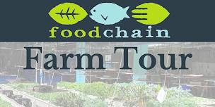 FoodChain Aquaponics Tour