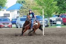 2024 Boone County Fair Open Horse Show