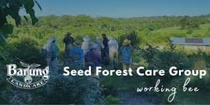 Barung Seed Forest Care Group - Working Bee