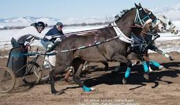 World Chariot racing