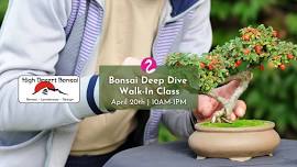 Bonsai Deep Dive Walk-In Class | No ticket purchase required