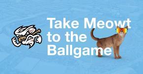 Take Meowt to the Ballgame