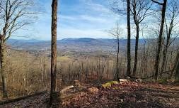 Mt. Anthony Summit Trail Hike (Bennington, VT)