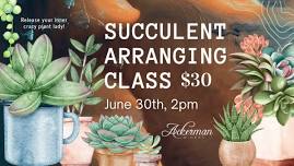 Succulent Arranging Class at Ackerman Winery