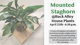 Mounted Staghorn Fern - April