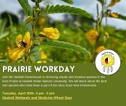 Prairie Workday