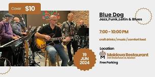 Blue Dog- Jazz, Funk, Latin and Blues