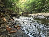 Castle Shannon Spring Saw Mill Run Stream Clean Up