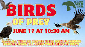 Birds of Prey