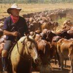 Harry Redford Cattle Drive