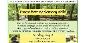 Forest Bathing Sensory Walk & Foraged Tea