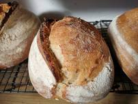 Introduction to Sourdough Bread