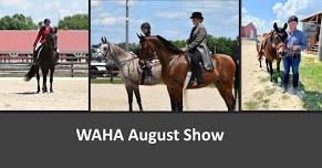 WAHA August Show