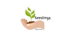 Seedlings 2024