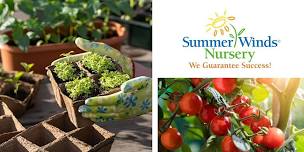 Summertime and Growing Your Own Veggies & Herbs - Palo Alto