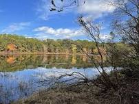 BioBlitz with the Pine Barrens Alliance