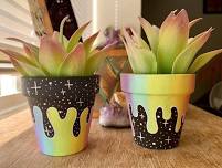 Paint your own Planter! (Multiple options to pick from)