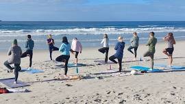 Wild Yoga on the Beach