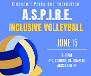 A.S.P.I.R.E. Inclusive Volleyball