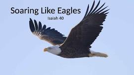 SOARING - A Christian Prophetic Healing Event