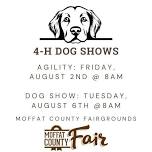 4-H Dog Show