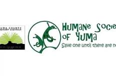 HUMANE SOCIETY OF YUMA PRESENTS...COMMUNITY CATS