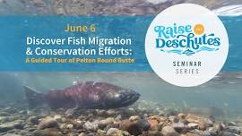 Discover Fish Migration and Conservation Efforts: A Guided Tour of Pelton Round Butte