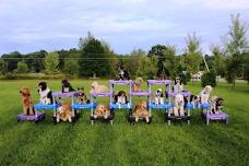 BDTA Canine Good Citizen (CGC) and Therapy Dog International (TDI) Testing