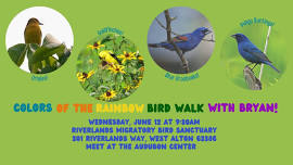 Colors of the Rainbow Bird Walk with Bryan!