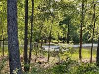 Wellness Walk at Alexander Park West