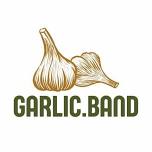 Live Music from Garlic Band