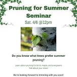 Pruning for Summer (Birch, Maple, Evergreens) — Caras Nursery