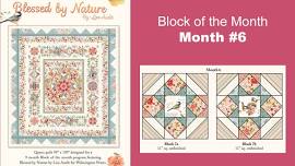 Block of the Month, Fri. July 26