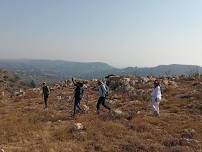 Sunday Morning Hike at Kloofendal and Little Falls Nature Reserves