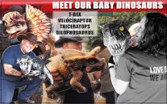 Meet The Dinosaurs