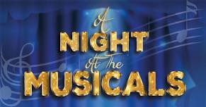 The Wonderful West End : A Night at the Musicals