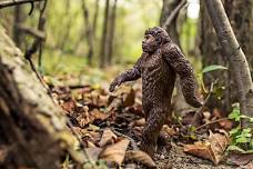 Cryptid Chronicles: Bigfoot