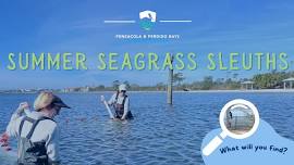 Summer Seagrass Sleuths