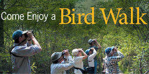 October 2024 Bird Walk