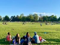 Saturday Afternoon Congress Park Co-Ed Ultimate ***Near Cheesman***