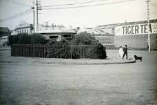 Minibus Tales of True Crime in Victorian Dunedin