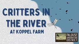 Critters in the River | Macroinvertebrate Exploration in the South Fork