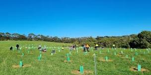 Briars Community Planting Day (National Tree Planting Day)