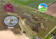 NNR Week 29th May RSPB Tetney Marshes Guided Walk - Free