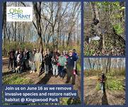 Habitat Restoration Community Volunteer Day